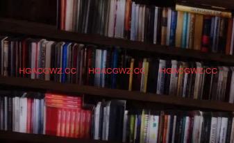 【欧美SLG/汉化/动态】电车故障v0.21.0汉化版【PC+安卓/3.51G/更新】